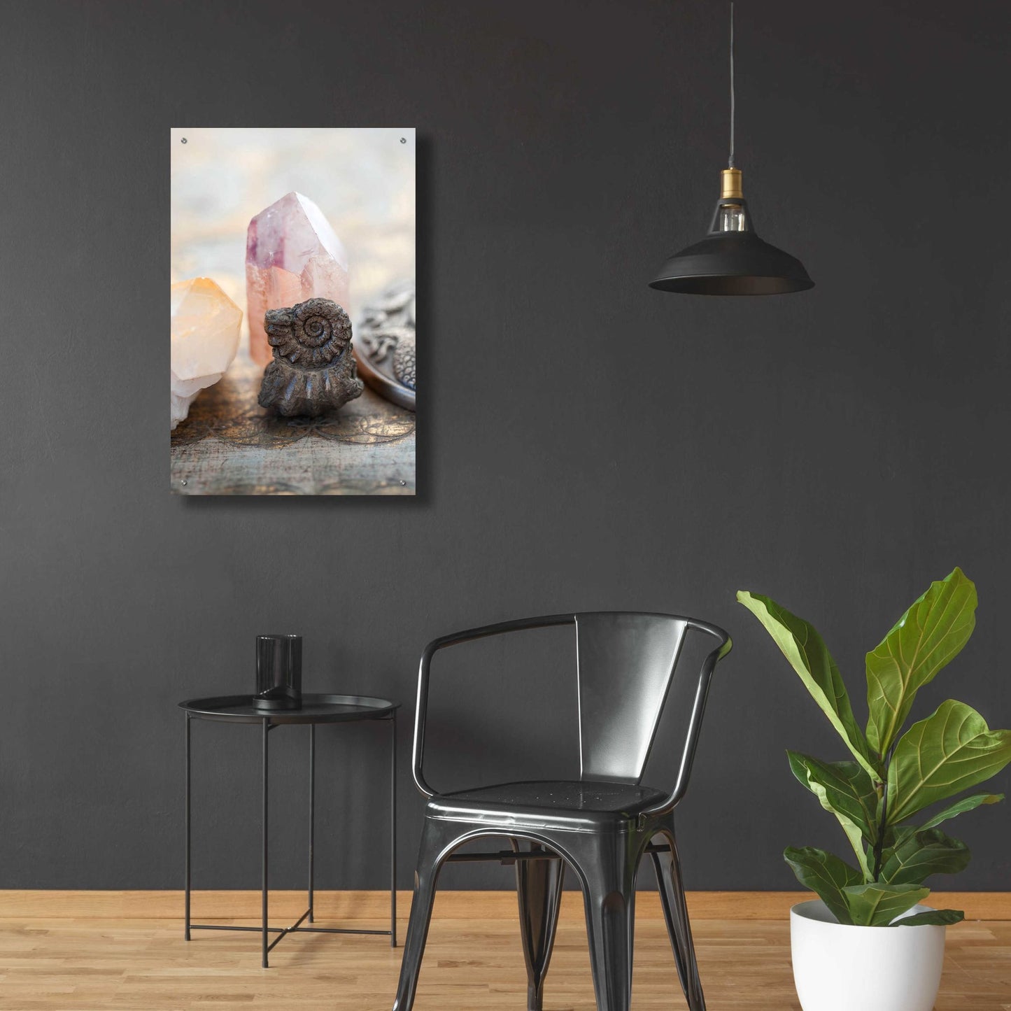 Epic Art 'Crystal and Fossil' by Elena Ray, Acrylic Glass Wall Art,24x36