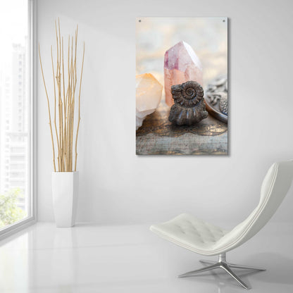 Epic Art 'Crystal and Fossil' by Elena Ray, Acrylic Glass Wall Art,24x36