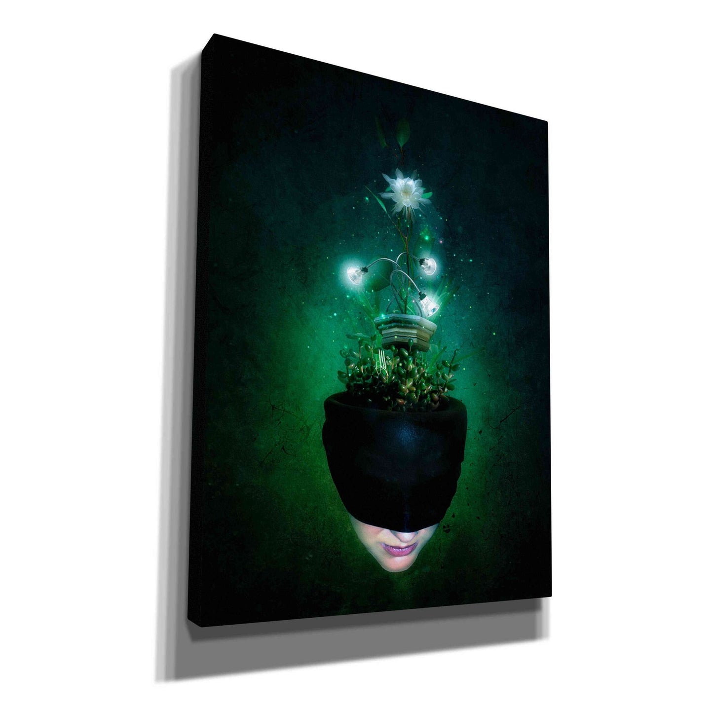 Cortesi Home 'Herbal Movement I' by Mario Sanchez Nevado, Canvas Wall Art