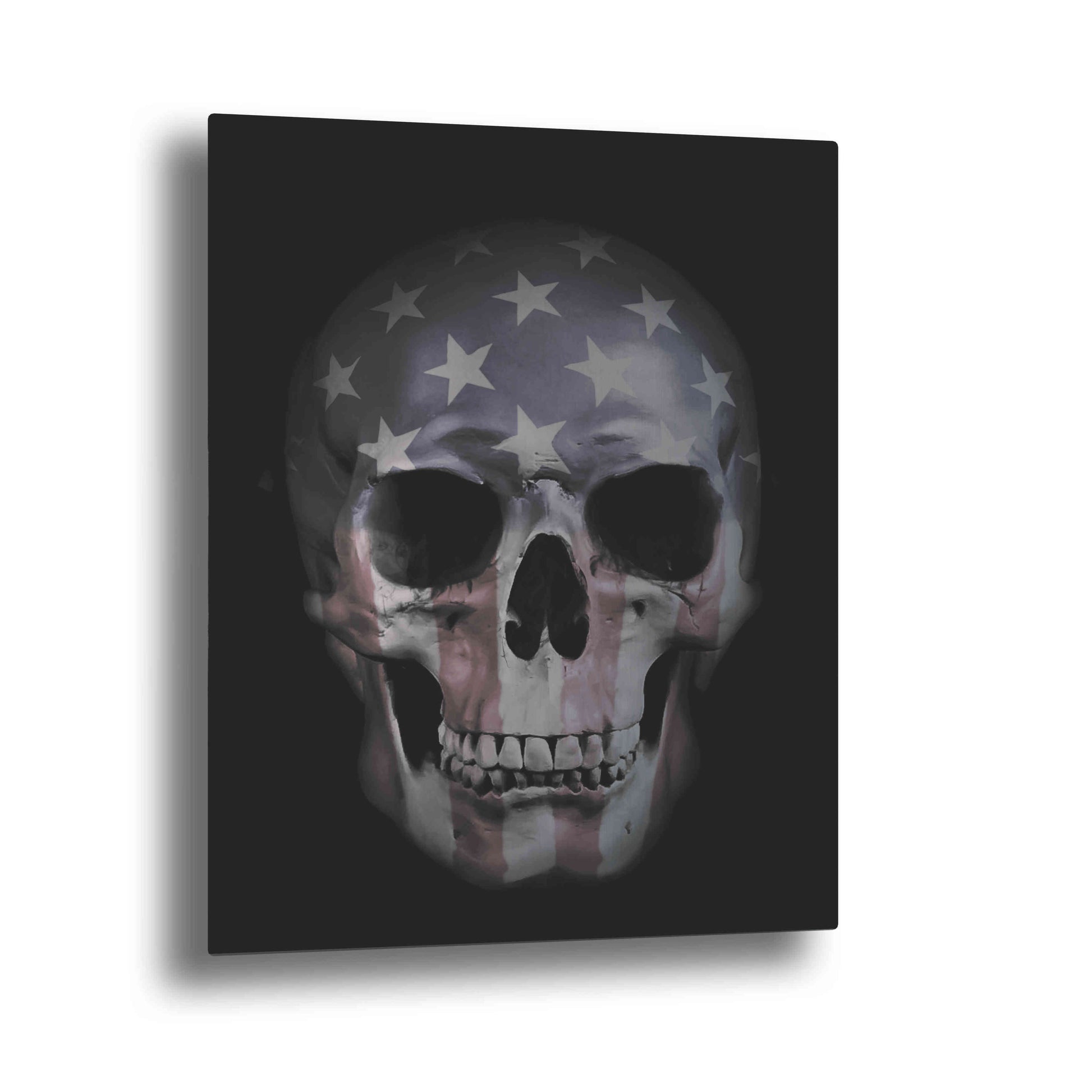 Epic Art "American Skull" by Nicklas Gustafsson, on Brushed Aluminum