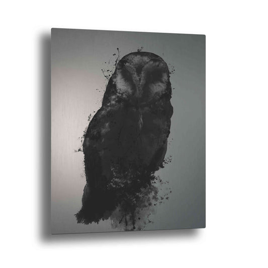 Epic Art "The Owl" by Nicklas Gustafsson, on Brushed Aluminum