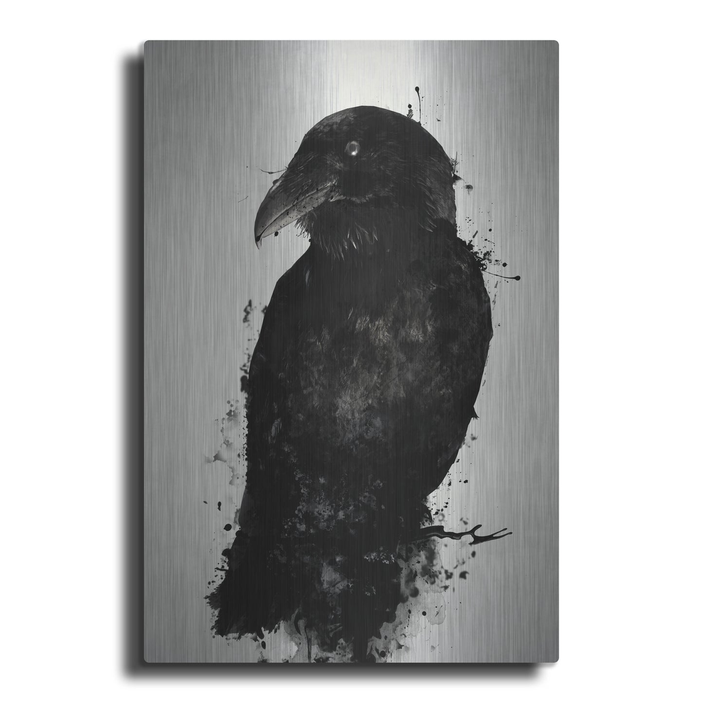 Epic Art "The Raven" by Nicklas Gustafsson, on Brushed Aluminum
