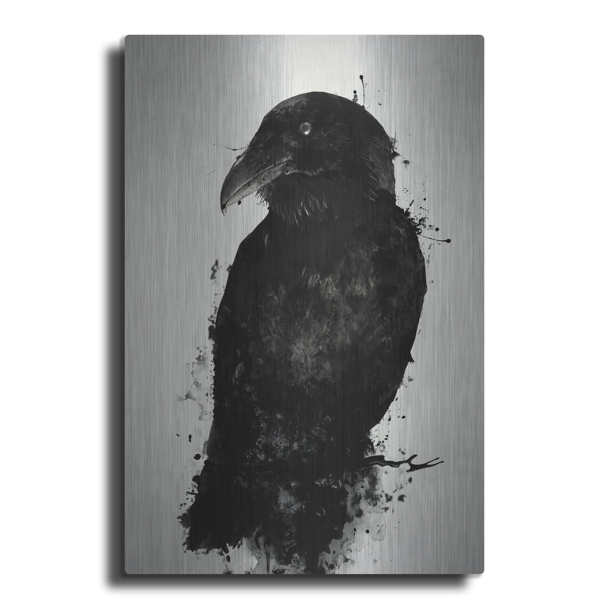 Epic Art "The Raven" by Nicklas Gustafsson, on Brushed Aluminum