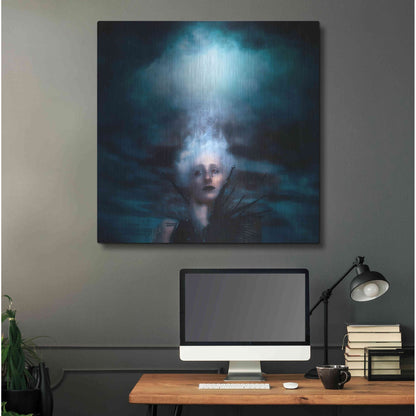 Luxe Metal Art 'A Natural Disaster' by Mario Sanchez Nevado, Metal Wall Art,36x36