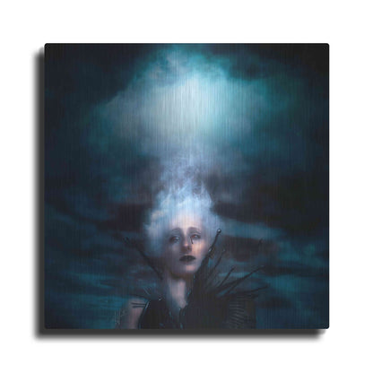 Luxe Metal Art 'A Natural Disaster' by Mario Sanchez Nevado, Metal Wall Art