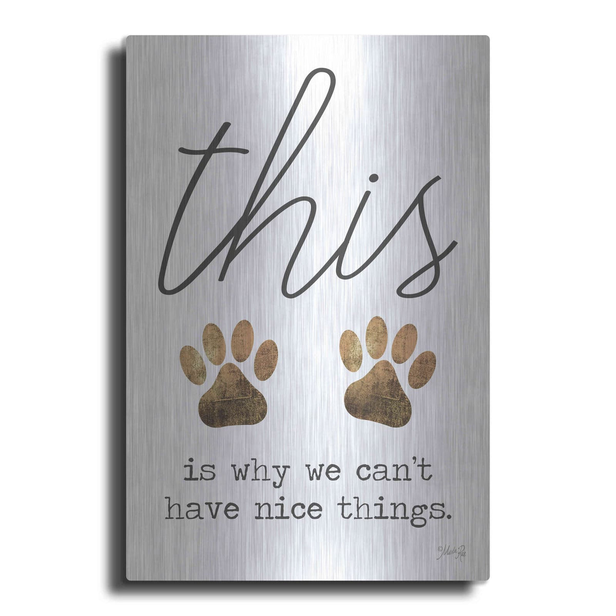 'Can't Have Nice Things' by Marla Rae – Metal Wall Art