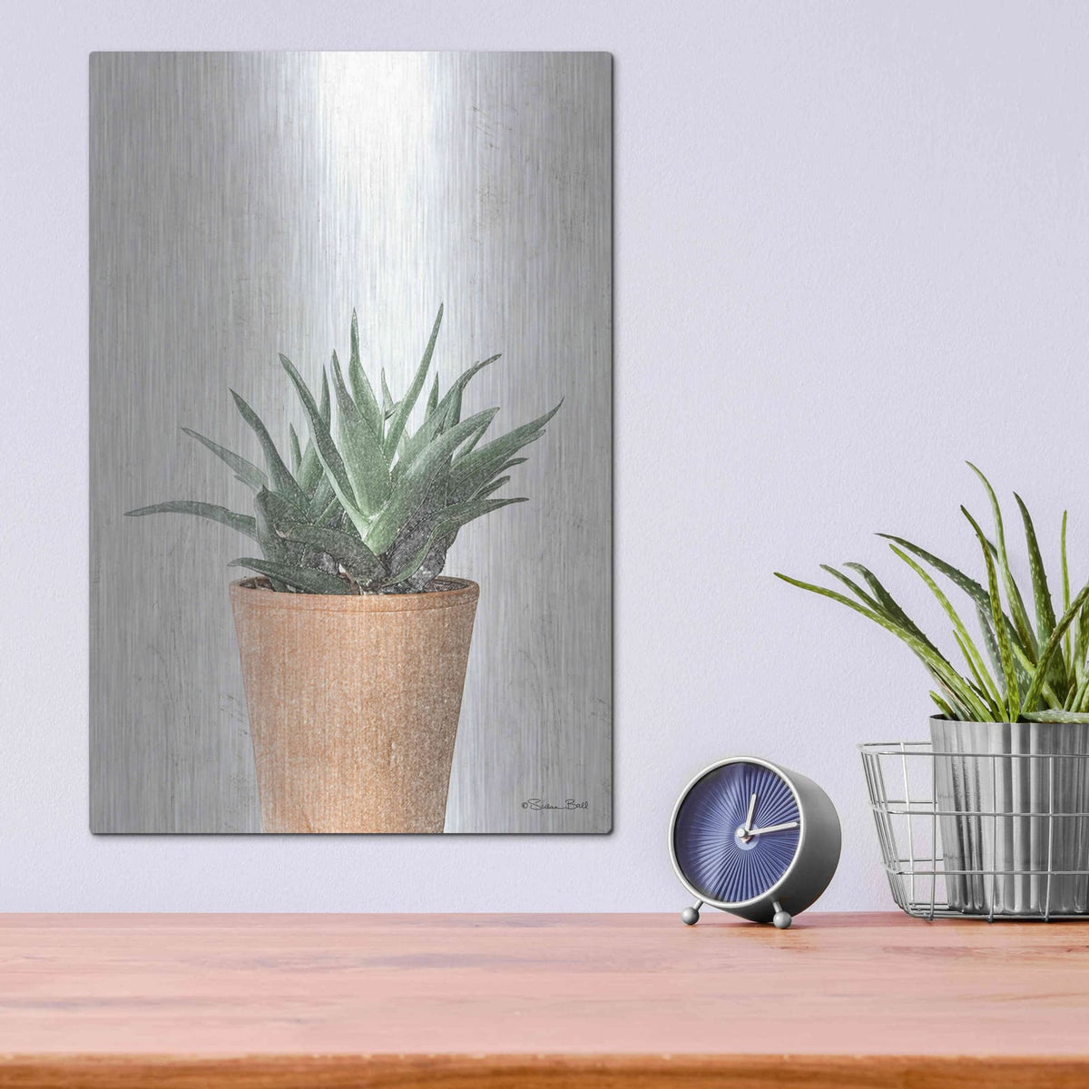 'Succulents I' by Susan Ball – Metal Wall Art, 12x16 room view