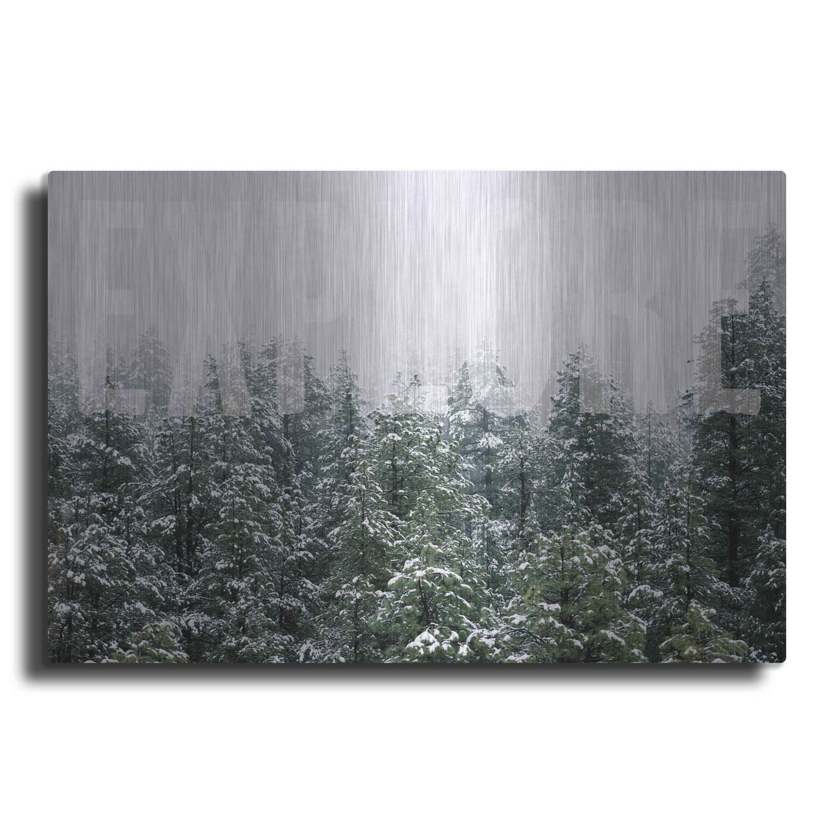 'Explore' by Susan Ball – Metal Wall Art