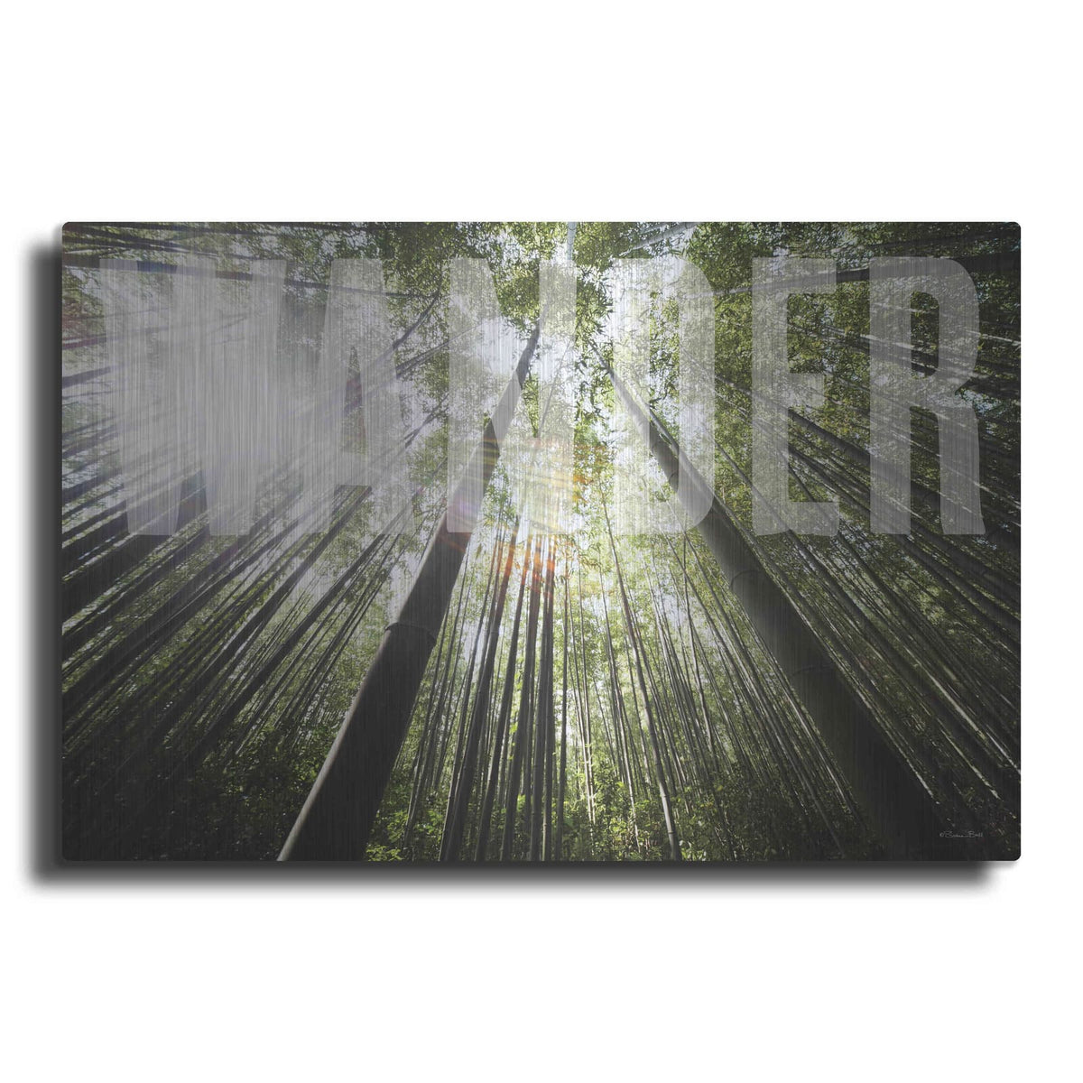 'Wander' by Susan Ball – Metal Wall Art