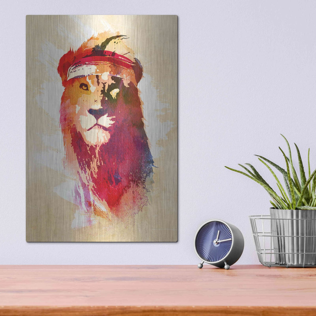 'Gym Lion' by Robert Farkas – Metal Wall Art, 12x16 room view