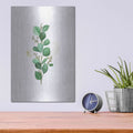 'Eucalyptus II' by Seven Trees Design – Metal Wall Art, 12x16 room view