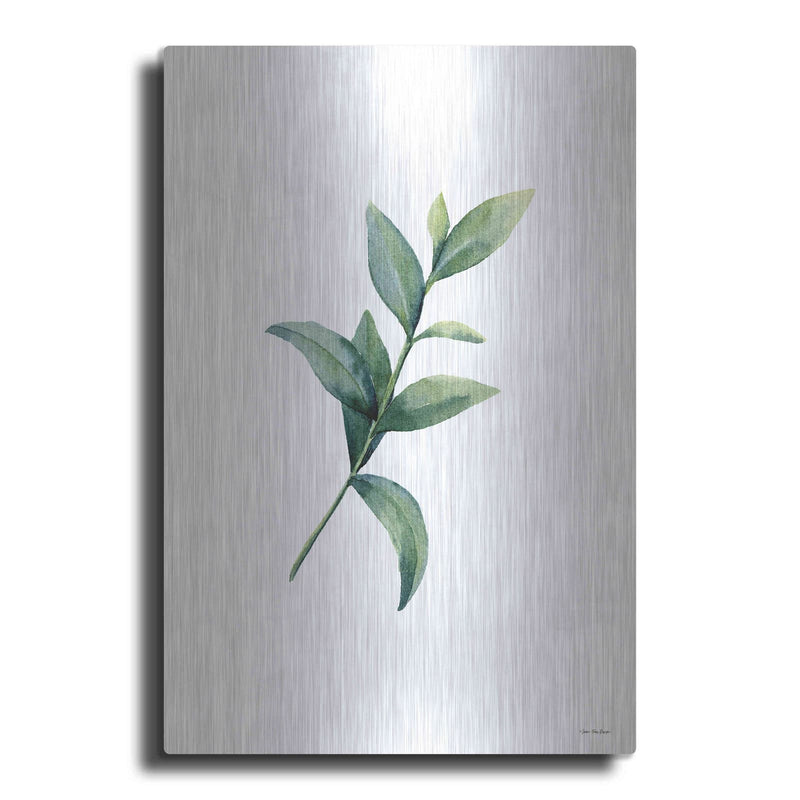 'Eucalyptus III' by Seven Trees Design – Metal Wall Art