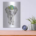 'Baby Elephant' by Jessica Mingo – Metal Wall Art, 12x16 room view