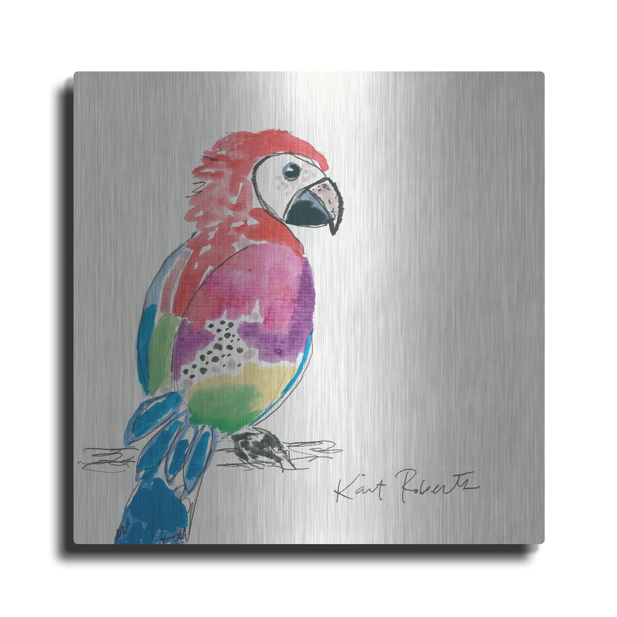'Preston the Parrot' by Kait Roberts – Metal Wall Art