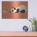 'The Pug and the Panda' by Jay Fleck – Metal Wall Art, 16x12 room view