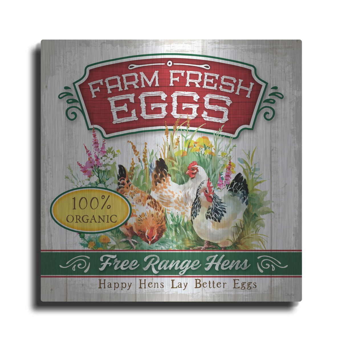 'Fresh Eggs' by Mollie B Art – Metal Wall Art