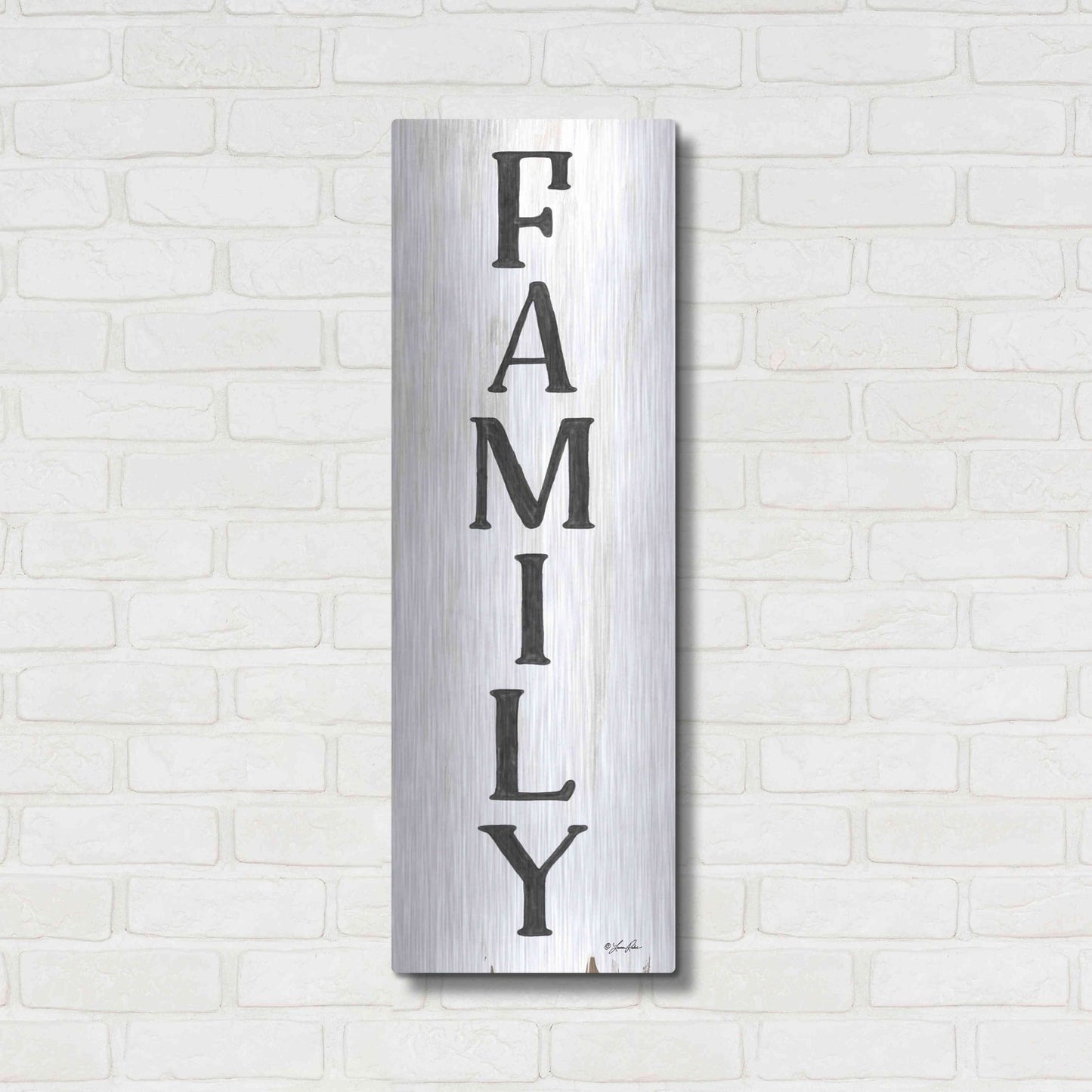 Luxe Metal Art 'Family' by Lauren Rader, Metal Wall Art,12x36