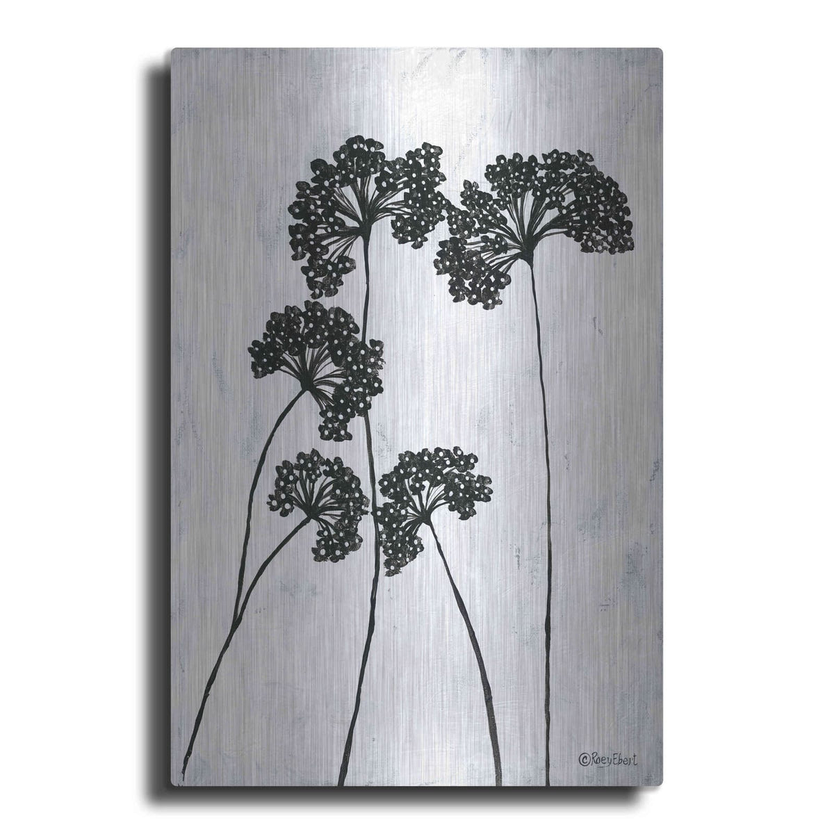 'Queen Anne's Lace I' by Roey Ebert – Metal Wall Art