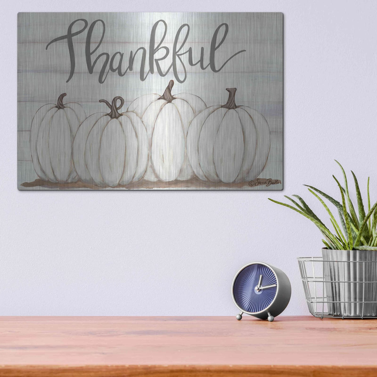 'Thankful Pumpkins' by Sara Baker – Metal Wall Art, 16x12 room view