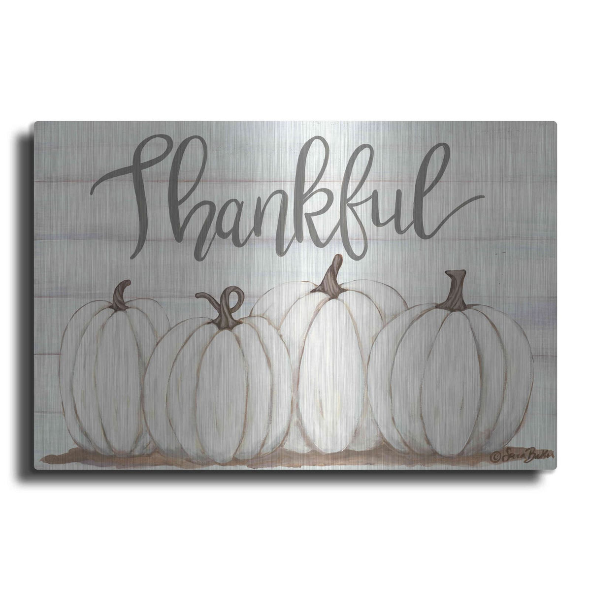 'Thankful Pumpkins' by Sara Baker – Metal Wall Art