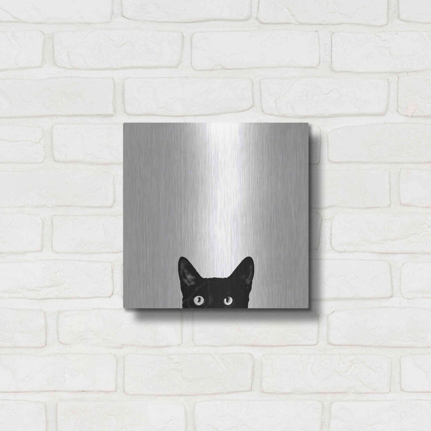 Luxe Metal Art 'Curiosity' by Jon Bertelli, Metal Wall Art,12x12