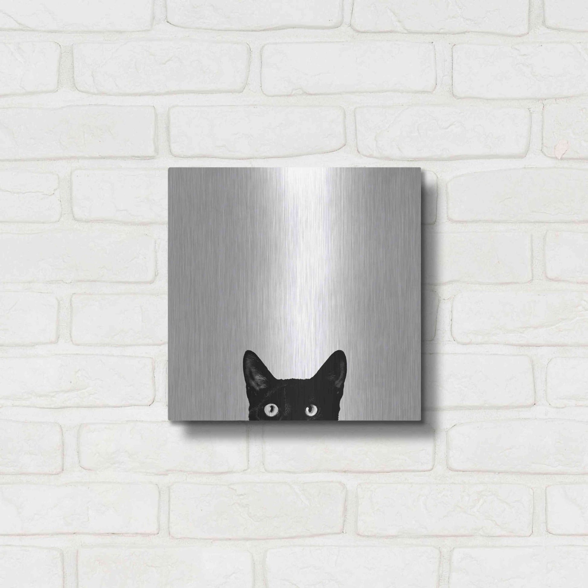 Luxe Metal Art 'Curiosity' by Jon Bertelli, Metal Wall Art,12x12