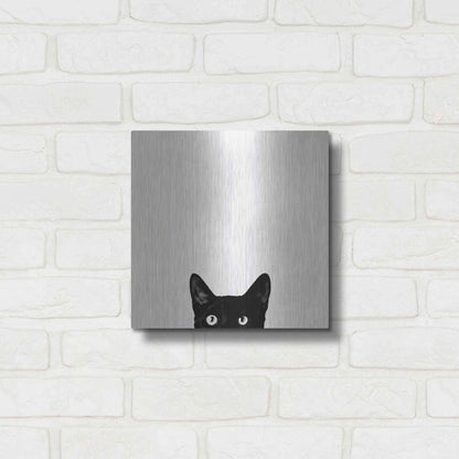 Luxe Metal Art 'Curiosity' by Jon Bertelli, Metal Wall Art,12x12