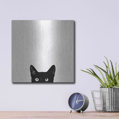 Luxe Metal Art 'Curiosity' by Jon Bertelli, Metal Wall Art,12x12