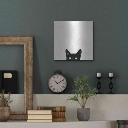 Luxe Metal Art 'Curiosity' by Jon Bertelli, Metal Wall Art,12x12