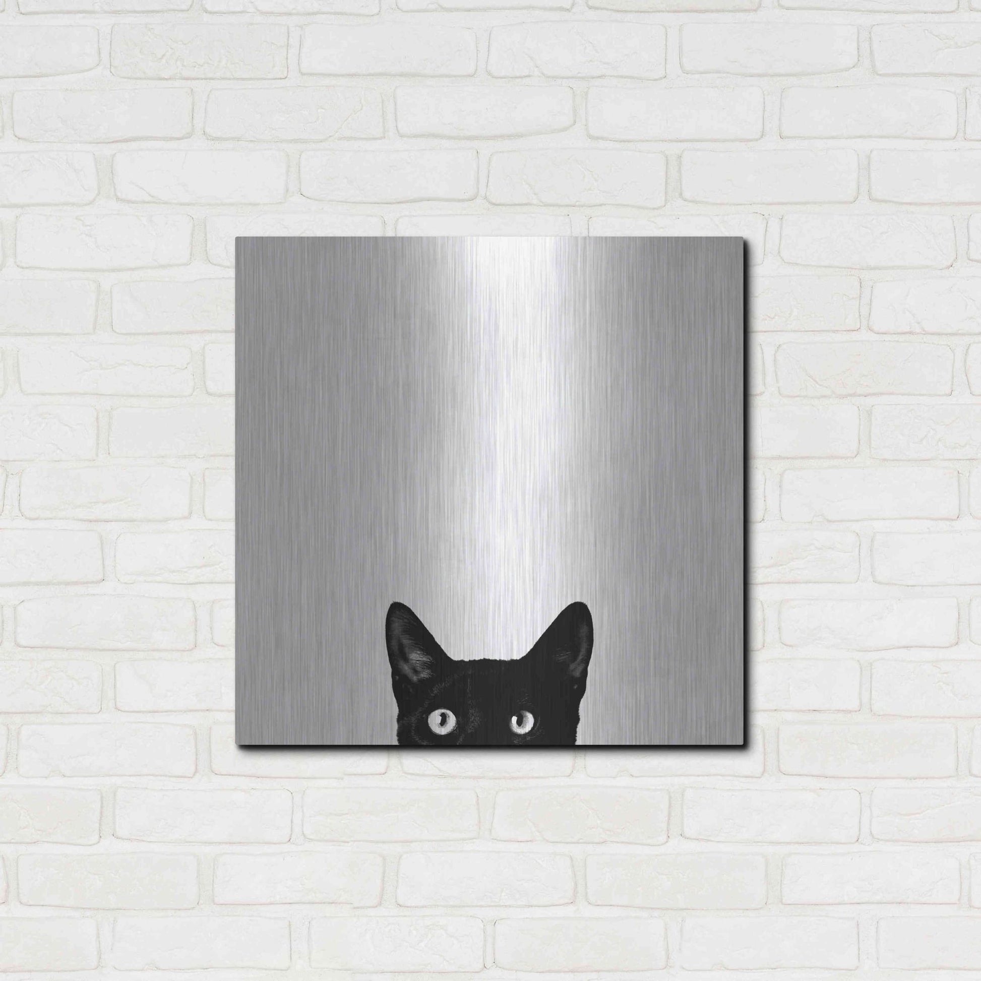 Luxe Metal Art 'Curiosity' by Jon Bertelli, Metal Wall Art,24x24