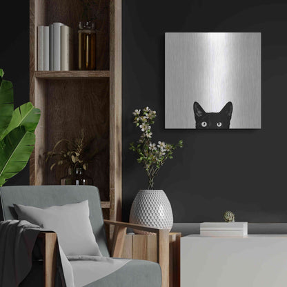 Luxe Metal Art 'Curiosity' by Jon Bertelli, Metal Wall Art,24x24