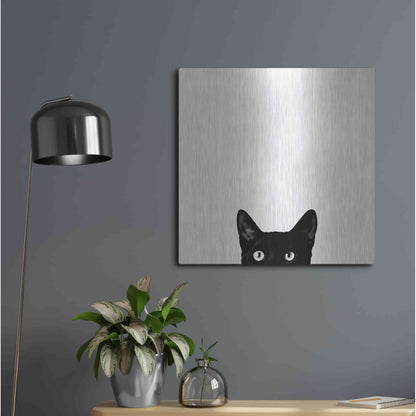 Luxe Metal Art 'Curiosity' by Jon Bertelli, Metal Wall Art,24x24