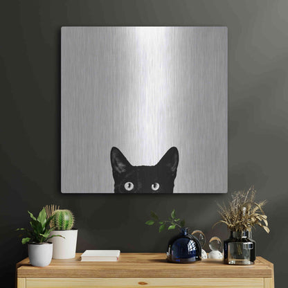 Luxe Metal Art 'Curiosity' by Jon Bertelli, Metal Wall Art,24x24