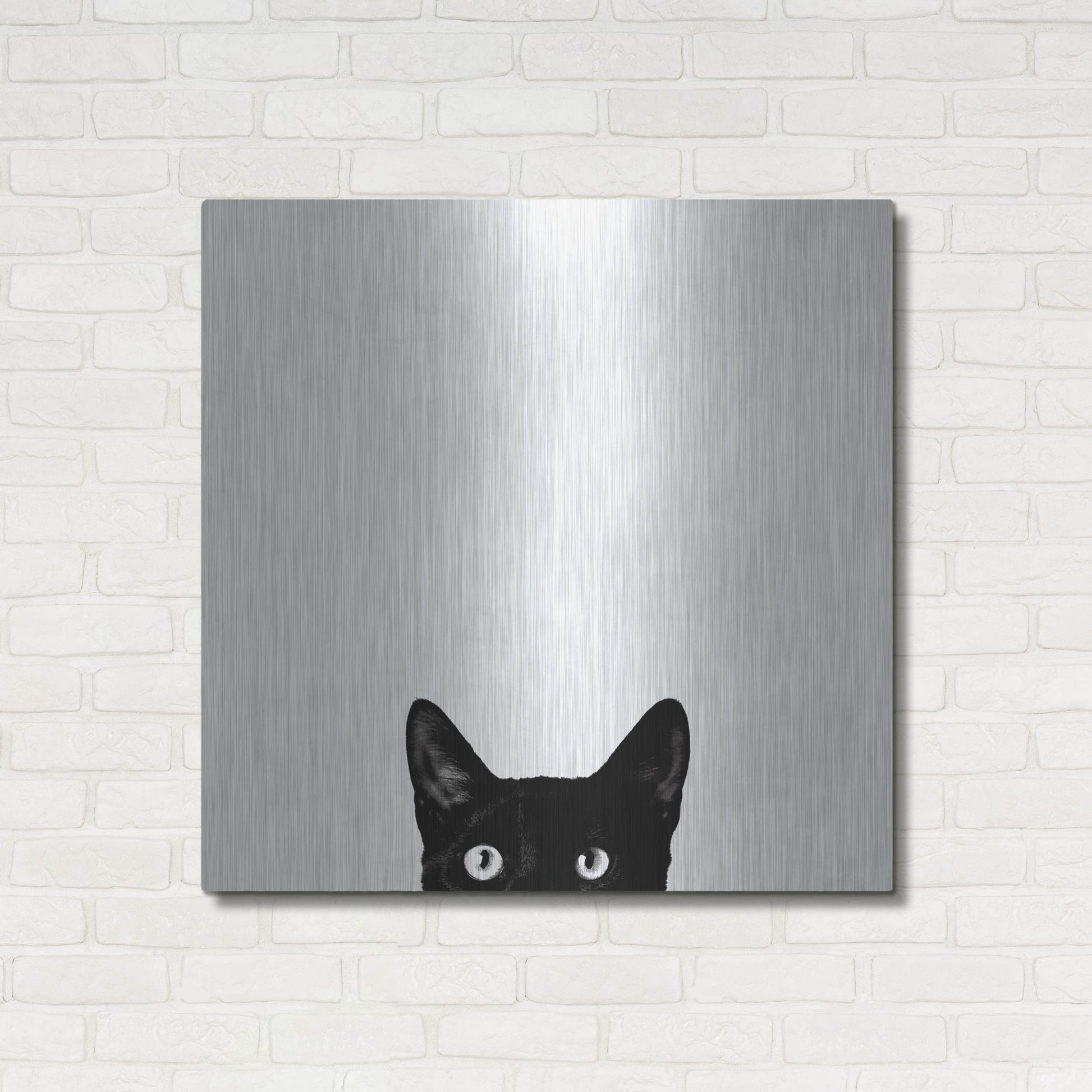 Luxe Metal Art 'Curiosity' by Jon Bertelli, Metal Wall Art,36x36