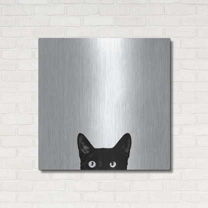 Luxe Metal Art 'Curiosity' by Jon Bertelli, Metal Wall Art,36x36