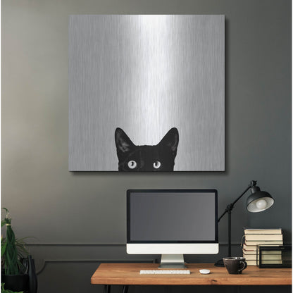 Luxe Metal Art 'Curiosity' by Jon Bertelli, Metal Wall Art,36x36