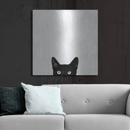 Luxe Metal Art 'Curiosity' by Jon Bertelli, Metal Wall Art,36x36