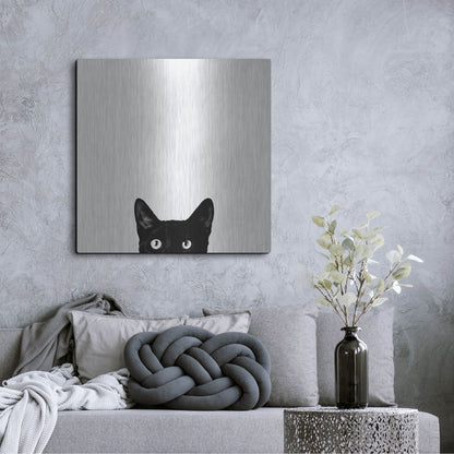 Luxe Metal Art 'Curiosity' by Jon Bertelli, Metal Wall Art,36x36