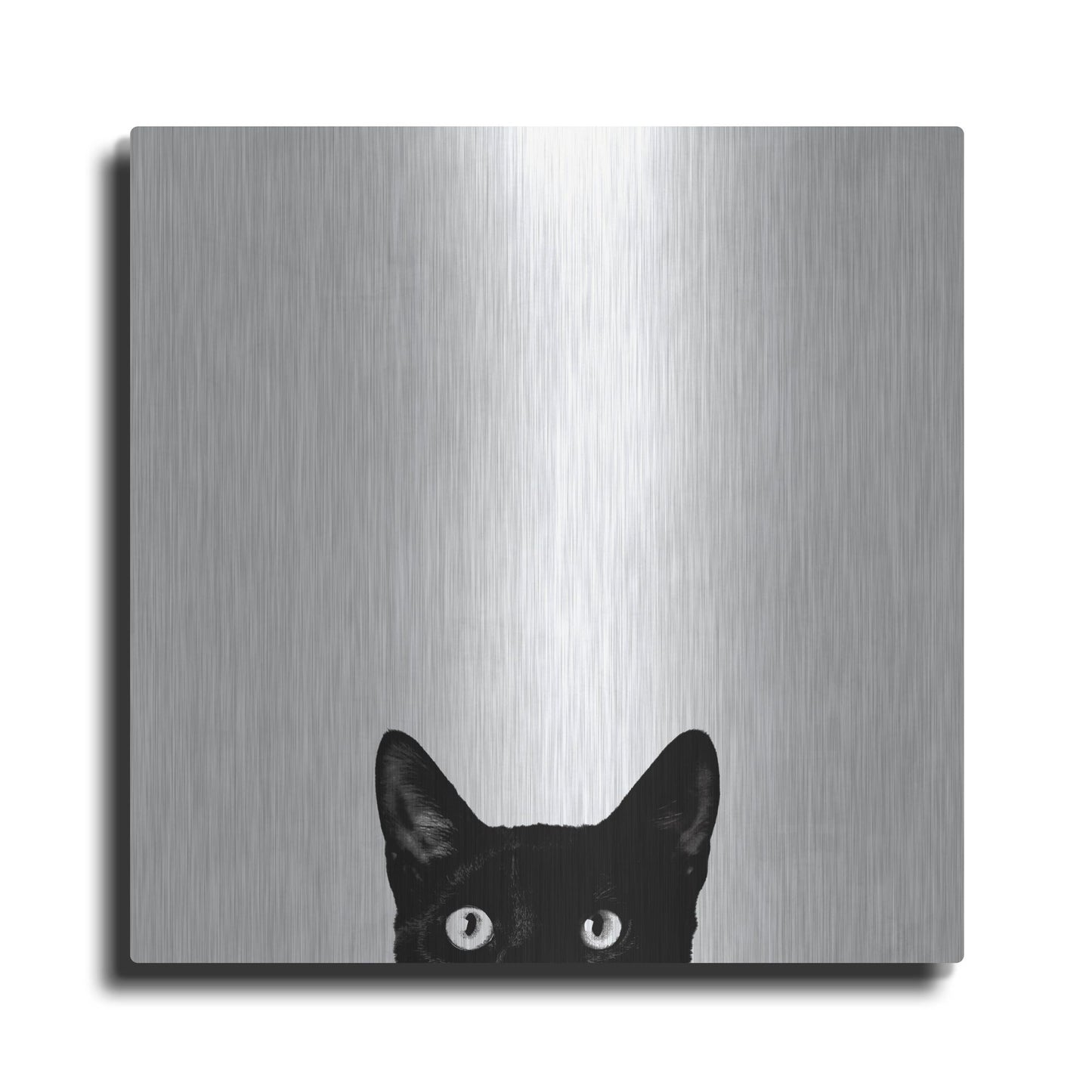 Luxe Metal Art 'Curiosity' by Jon Bertelli, Metal Wall Art