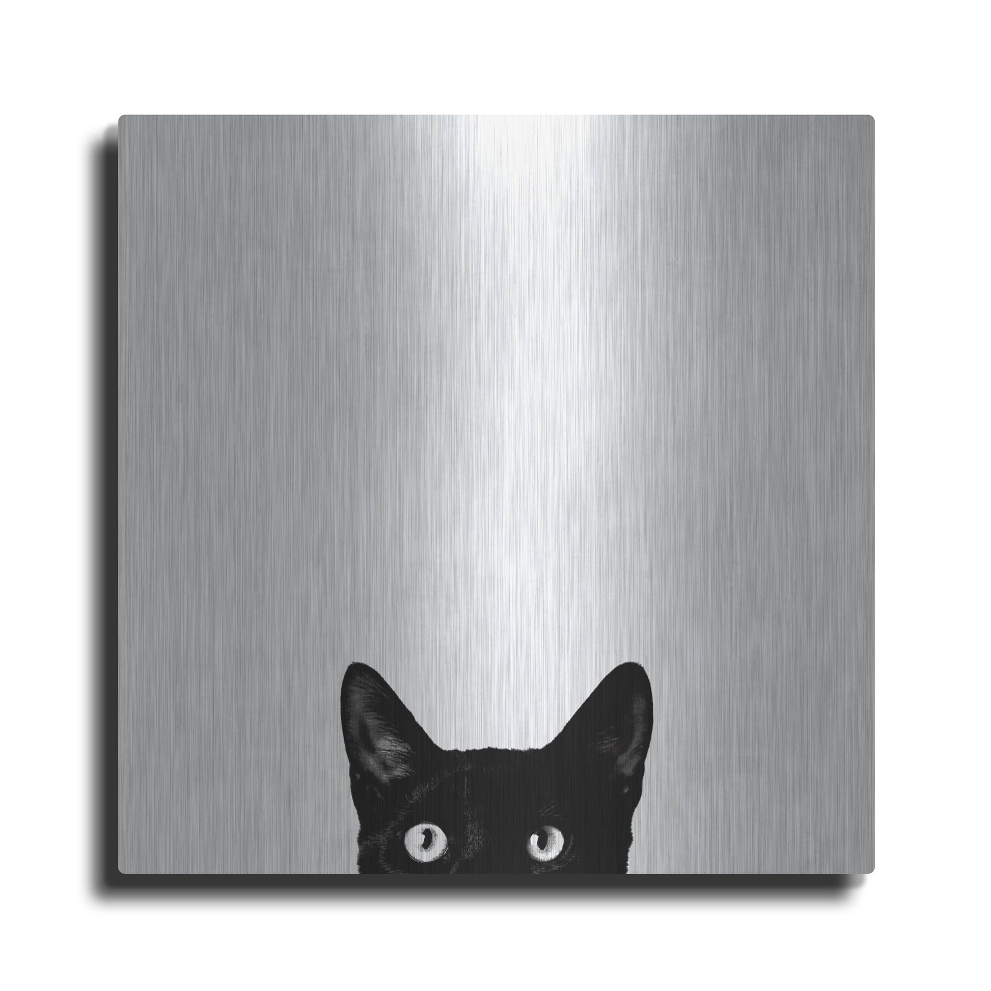 Luxe Metal Art 'Curiosity' by Jon Bertelli, Metal Wall Art