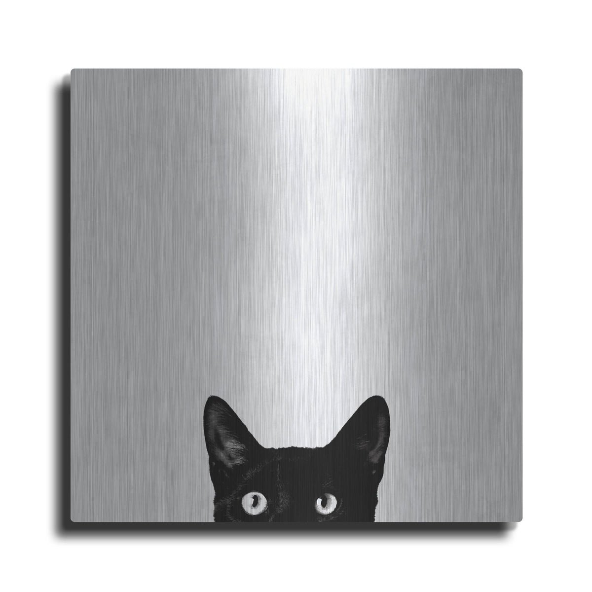 Luxe Metal Art 'Curiosity' by Jon Bertelli, Metal Wall Art