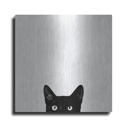 Luxe Metal Art 'Curiosity' by Jon Bertelli, Metal Wall Art