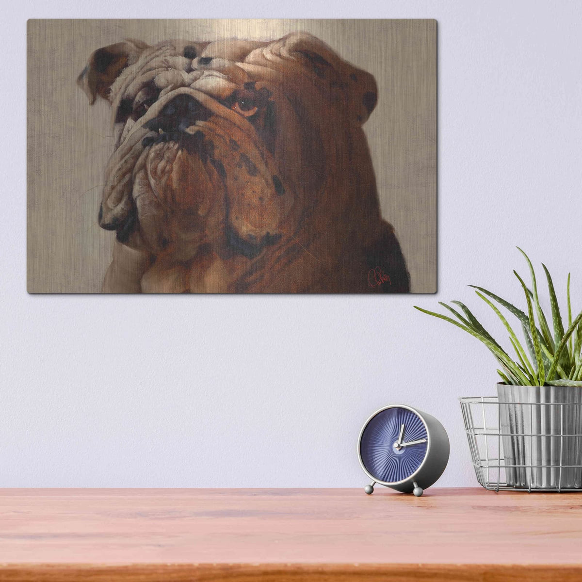 'Bulldog' by Thomas Fluharty – Metal Wall Art, 16x12 room view
