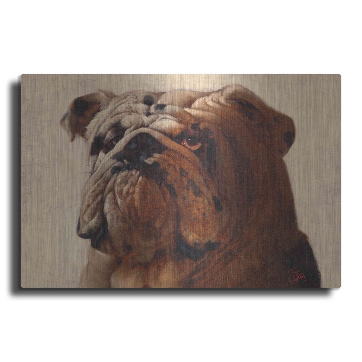 'Bulldog' by Thomas Fluharty – Metal Wall Art
