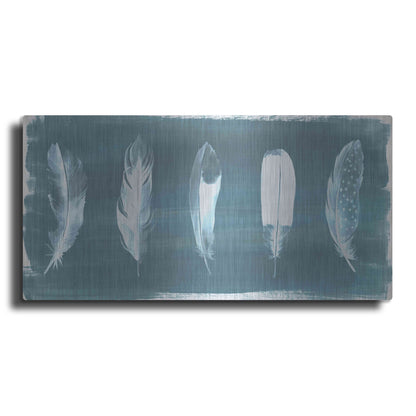 Luxe Metal Art 'Feathers on Dusty Teal' by Grace Popp, Metal Wall Art,24x12