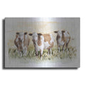 Luxe Metal Art 'Golden Graze II' by Grace Popp, Metal Wall Art
