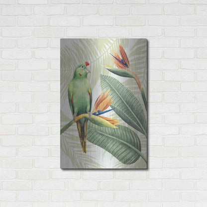 Luxe Metal Art 'Avian Paradise IV' by Grace Popp, Metal Wall Art,24x36