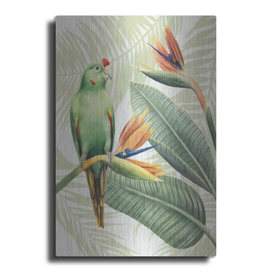 Luxe Metal Art 'Avian Paradise IV' by Grace Popp, Metal Wall Art