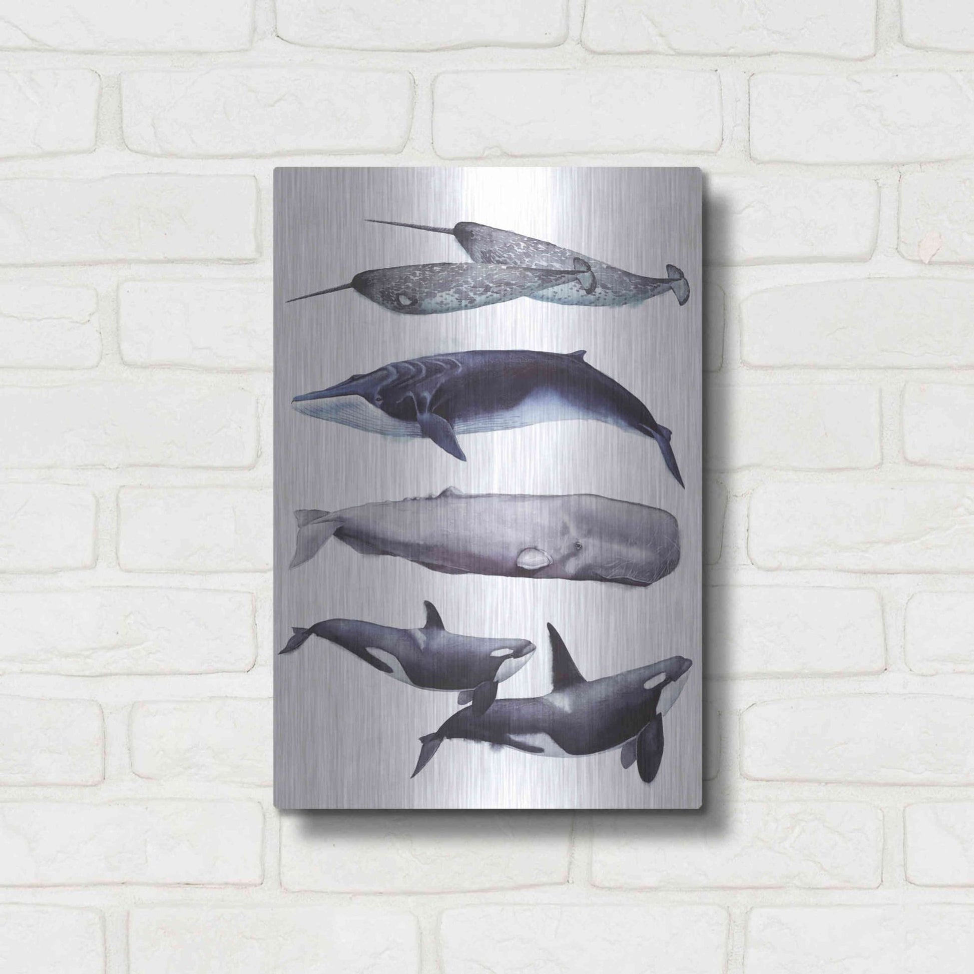 Luxe Metal Art 'Whale Stack II' by Grace Popp, Metal Wall Art,12x16