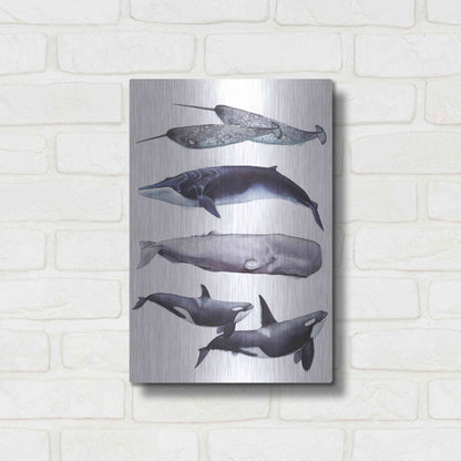 Luxe Metal Art 'Whale Stack II' by Grace Popp, Metal Wall Art,12x16
